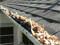Clogged Gutters | The Gutter Guys